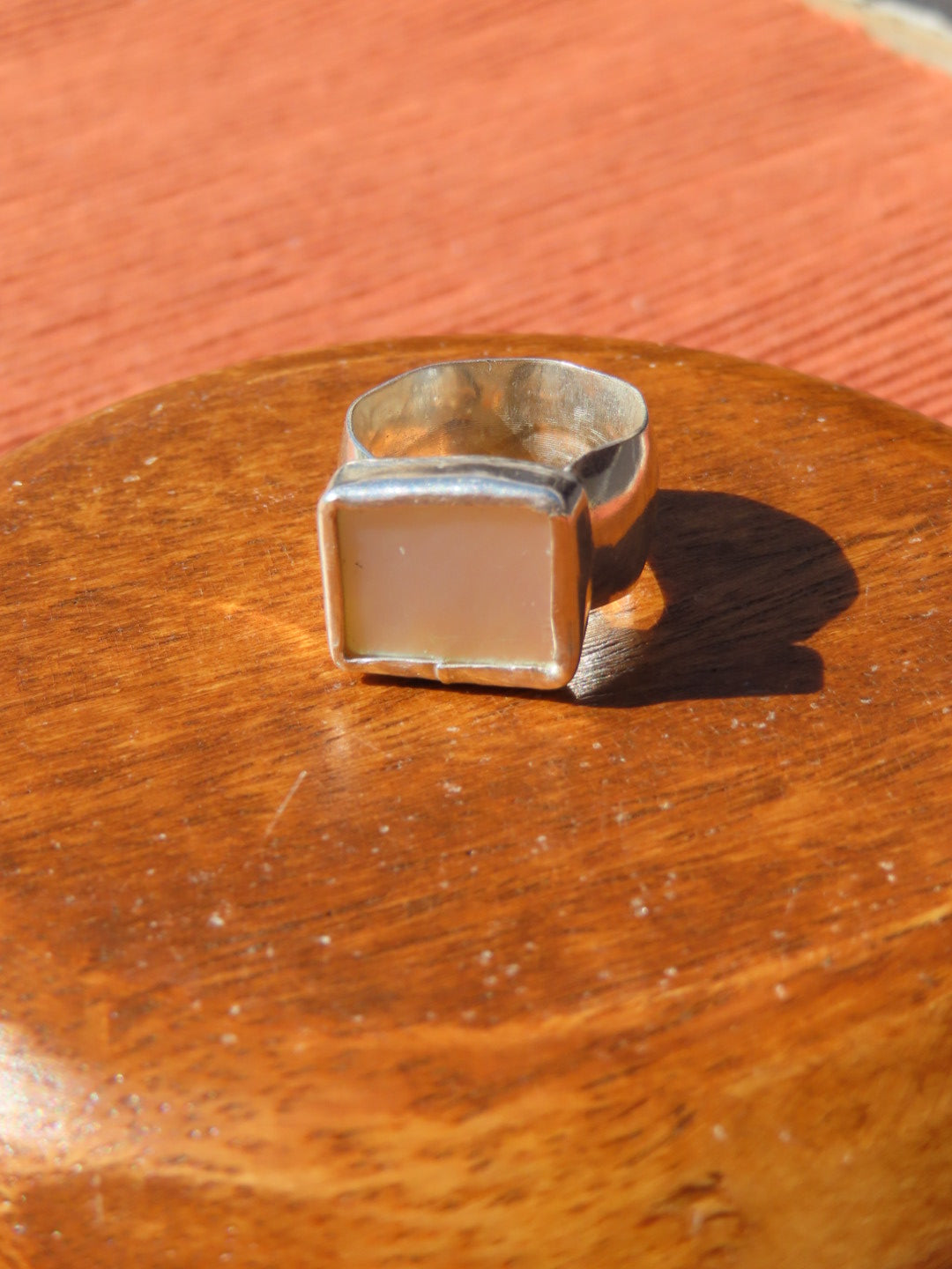 iridescent abalone 6